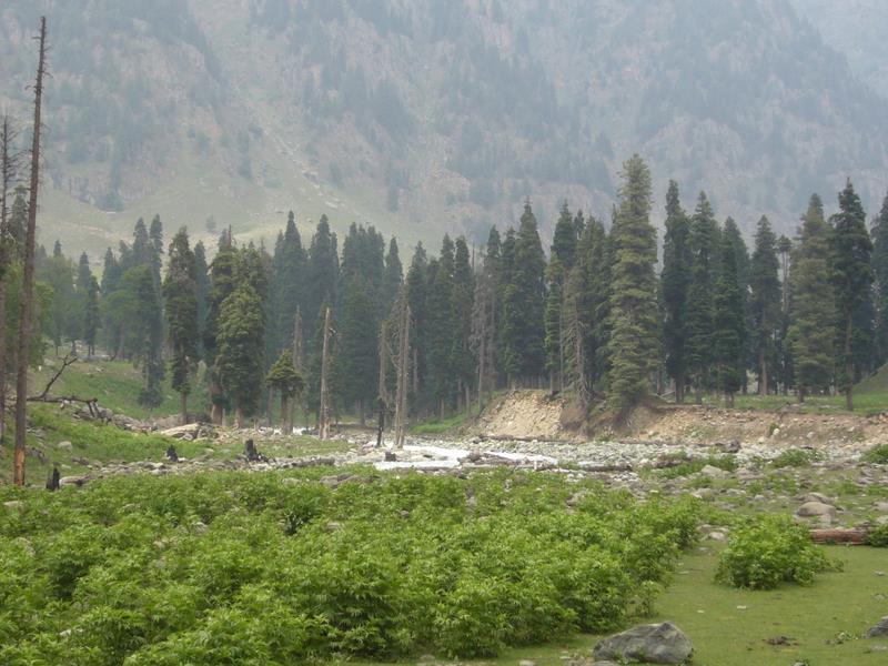 Travel - India - Kashmir - Aru - Lidderwat Expedition